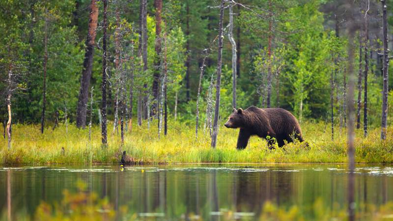 klimat-Vad-ar-klimatjuridik-huvudbild1.jpg