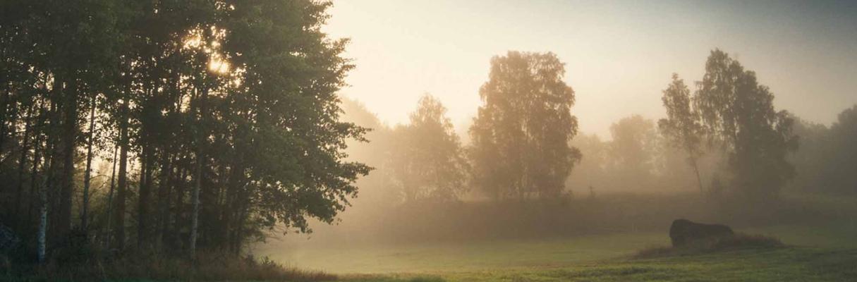 Ekonomiskt bistånd enligt SoL