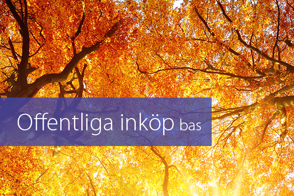 Offentliga inköp bas STOR.png