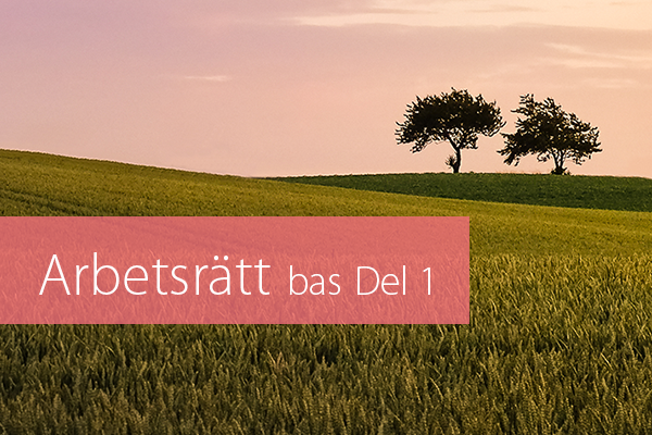 Arbetsrätt bas Del 1 STOR.png