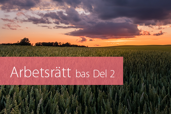 Arbetsrätt bas Del 2 STOR.png