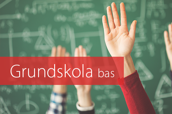 Grundskola bas stor .png