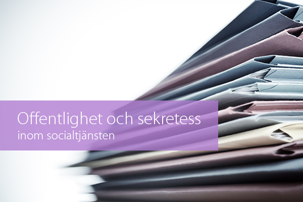Offentlighet och sekretess STOR.png