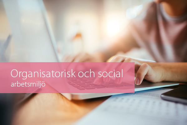 Organisatorisk och social STOR.png
