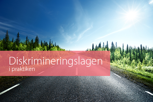 Diskrimineringslagen i praktiken STOR.png
