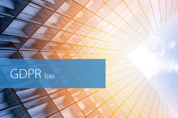 GDPR bas_ny.png