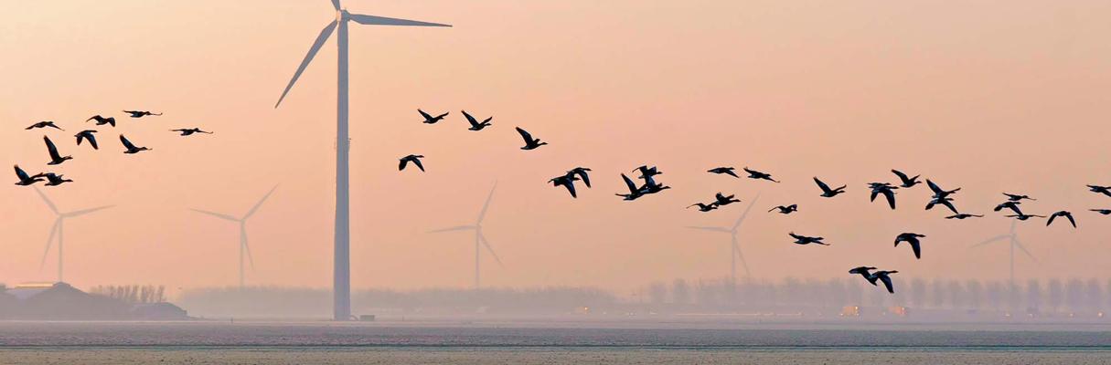 Natura 2000 och artskyddsförordningen