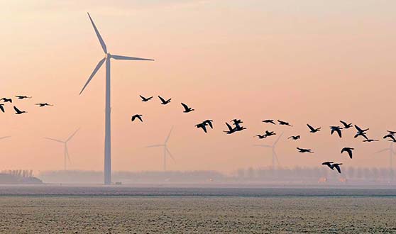 Natura 2000 och artskyddsförordningen